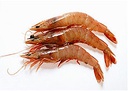 Gamba Rosa Cristal 12x1kg